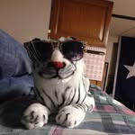 _jp_morgan_ - @_jp_morgan_ - Instagram