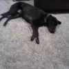 jrharding - @jrharding2 - TikTok