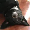 Reid_likes_koolaid - @langleyjr46 - TikTok