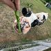JT Davis - Facebook