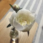 Ju__park - @ju__park - Instagram