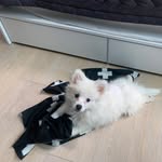 박주형 - @ju_park_96 - Instagram