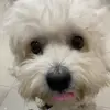 Juan Ancona - @juan_ancona - TikTok