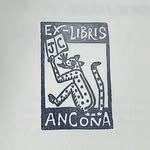 Juan Carlos Ancona - @allosancona - Instagram