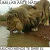 Juan Arciga - @juanarciga48 - TikTok