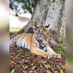 Juan Arciga Arciga - @juanarcigaarciga - Instagram