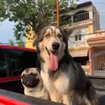 Juan Arciga Gallardo - @juanarcigagallardo - Instagram
