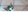 jonathanbeas266 - @juan_beas - TikTok