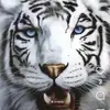 Juan Beas - @juanroman356 - TikTok