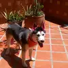 Juan Bentley - @juanbentley - TikTok