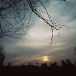 gtre - @juanbowman2018 - Instagram