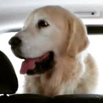 Juan Cañada Palacio - @juancanadap - Instagram