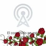 Juan Castorena - @castorena9778 - Instagram