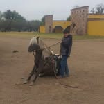juan castorena - @castorena817 - Instagram