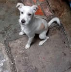 Juan Clemente - Facebook