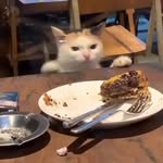 Juan 🐈‍⬛ - @juancondo756 - Instagram