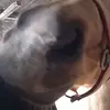 Juan Crispin - @juan.crispin94 - TikTok