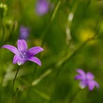 Juan Ferrell - @juanferrelllee58477 - Instagram