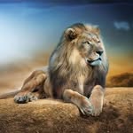 Juan Pablo Ferrel Leon - @juanferrelleon - Instagram