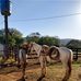 Juan Flecha - Facebook