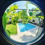 Juan Sebastián Flecha - @juan.sebastian.flecha - Instagram