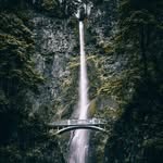 goodwin - @_juan.goodwin52_ - Instagram