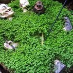 Juan Carlos Cullen Gorrín - @cullengorrin - Instagram
