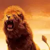 Juan Gorrin - @juan.gorrin0 - TikTok