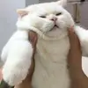 Juan Granado501 - @juangranado18 - TikTok
