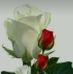 Juan Granillo - Facebook
