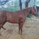Juan Tadeo Granillo - @juan.t.granillo - Instagram