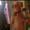 Juan Guaman - @juannhrb - TikTok