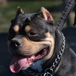J'juan Helm - @jjuanhelm - Instagram