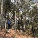 Juan Pablo Solís Higareda - @pabhig_09 - Instagram