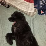 Juan hopper - @nub11649 - Instagram
