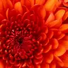 Juan Hopper - @juan.hopper - TikTok