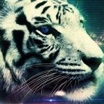 Juan Iraheta - @juaniraheta947 - Instagram