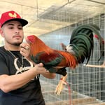 Juan Isais Mendoza Sanchez Sanchez - @juan.isaias.12 - Instagram