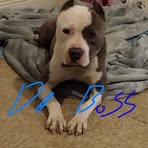 Juan Jamison - Facebook