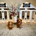 Joann Jeffries - Facebook