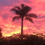 Juan Langoni - @juanlangoni - Instagram
