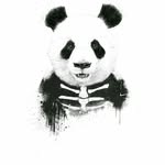 juan.layrade - @juan.layrade - Instagram