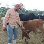 Juan Licona - @juan.licona.1029770 - Instagram