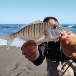 Juan Lopera Montes - @juan_lopera_montes - Instagram