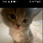 dejuan Lowery - @lowerydejuan - Instagram