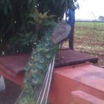 Juan Lupercio - @juan.lupercio.5283 - Instagram