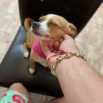 Juan Martel - @juannmartel_ - Instagram