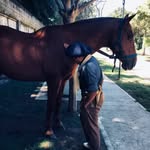 Juan Cruz Martinelli🐴 - @juancruzmartinelli - Instagram