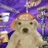Juan Martinelli - @juan.martinelli3 - TikTok