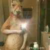 JUAN MARTINI - @juan.martini5 - TikTok